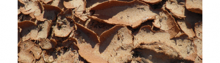 O crime ambiental de Brumadinho