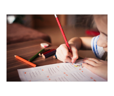 Educação Domiciliar no Brasil: solução para o sistema educacional ou exclusão social?